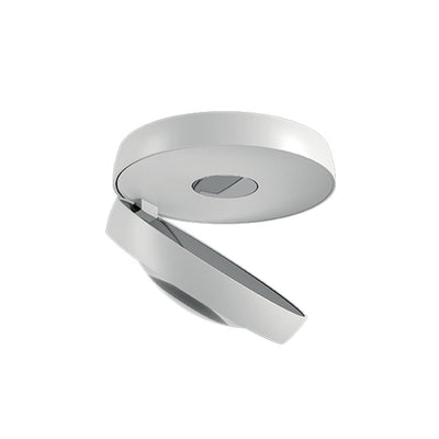 Nautilus ceiling light