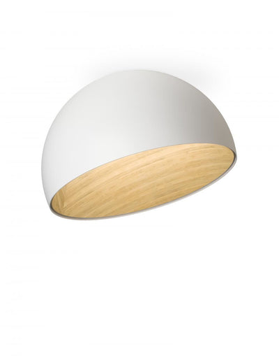 Duo ceiling light