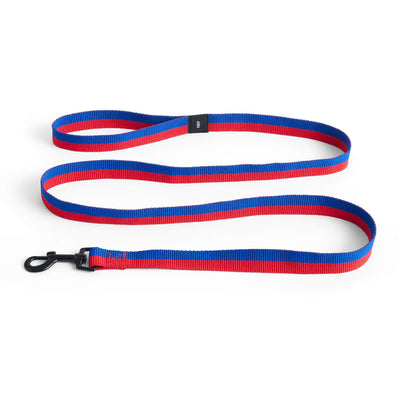 HAY Dogs Leash