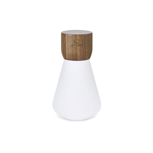 Outlet Pentagon Desk Bulb - Large, white ash