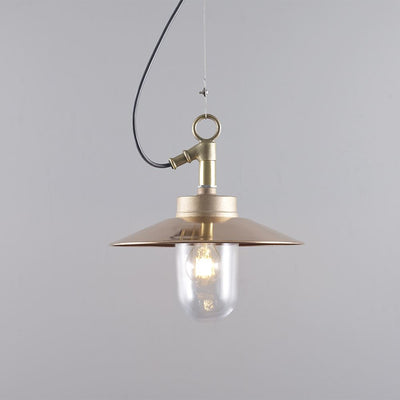 Well glass pendant light with visor