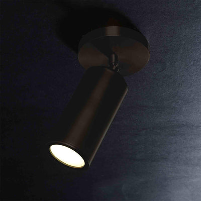 Jimmy Raiden Cameron Adjustable Flushmount Ceiling Light