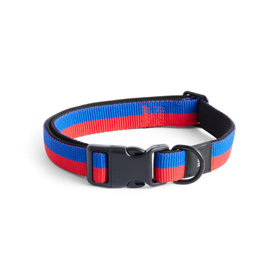 HAY Dog Collar