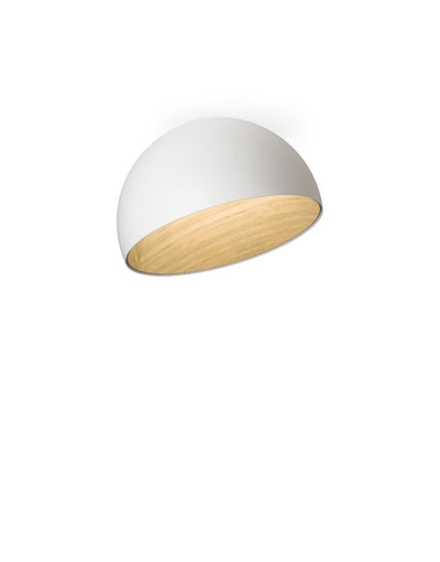 Duo ceiling light