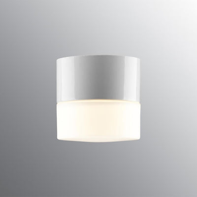 Opus 100 wall or ceiling light