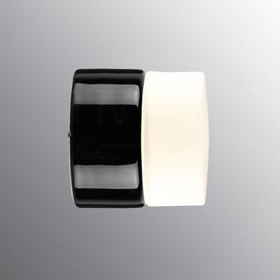 Opus 100 bathroom sauna wall or ceiling light