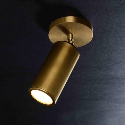 Jimmy Raiden Cameron Adjustable Flushmount Ceiling Light