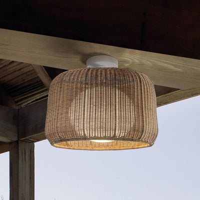 Fora Outdoor Ceiling Light