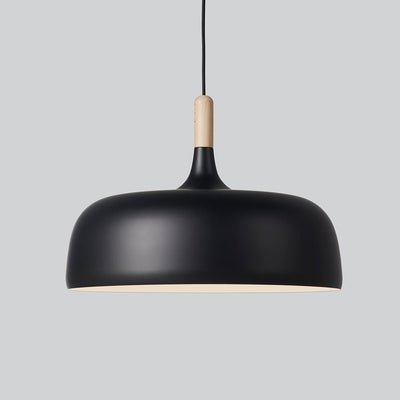 Northern Acorn Pendant Light