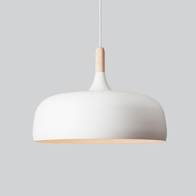 Northern Acorn Pendant Light