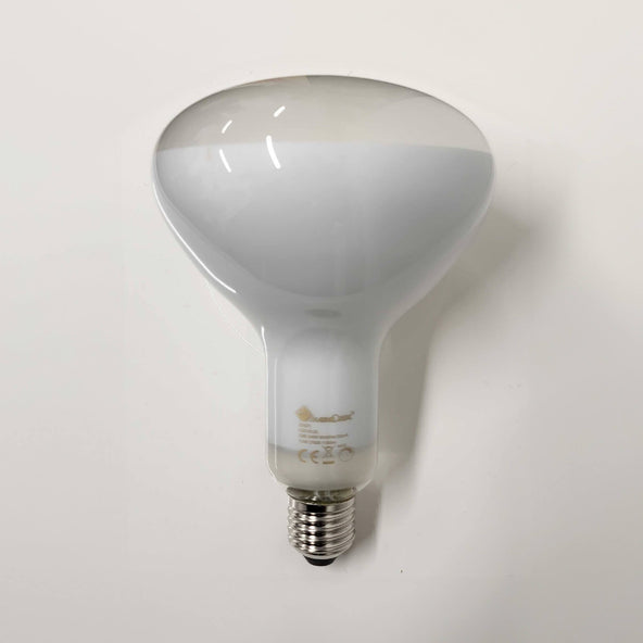 Outlet Flos LED Lamp 12W E27 2700K R125