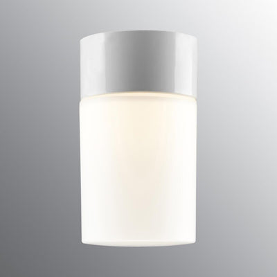 Opus 175 ceiling light - White opal glass