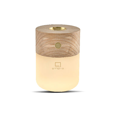 Smart Diffuser Lamp