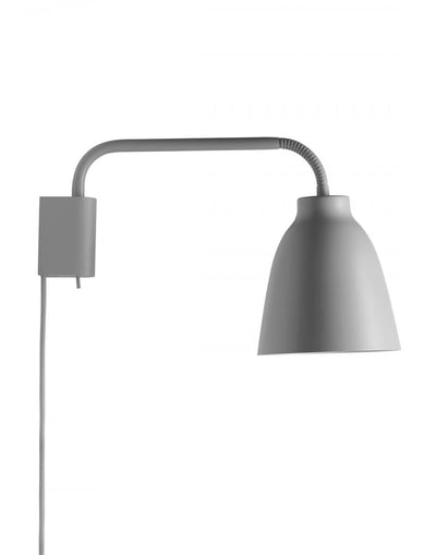 Fritz Hansen Caravaggio Read Wall Light