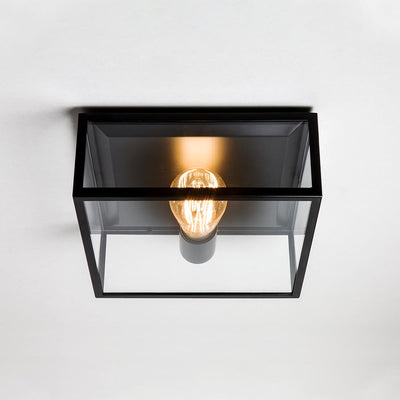 Bronte box ceiling light