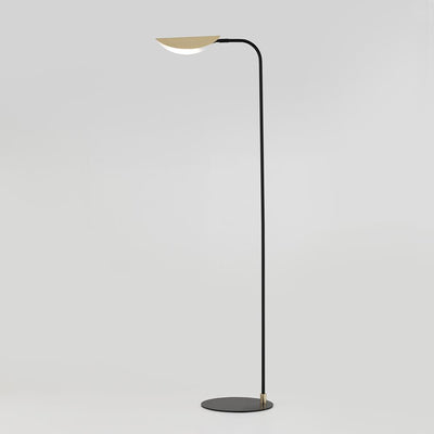 Aromas Ficus Floor Lamp